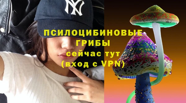 apvp Алексин