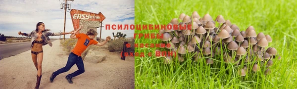 наркотики Алексеевка