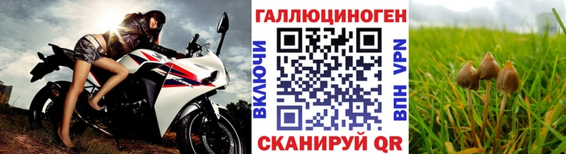 Галлюциногенные грибы GOLDEN TEACHER  Бердск 